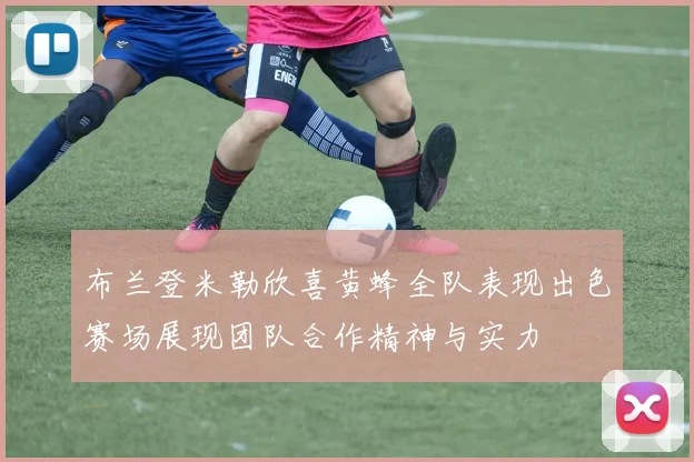 布兰登米勒欣喜黄蜂全队表现出色赛场展现团队合作精神与实力