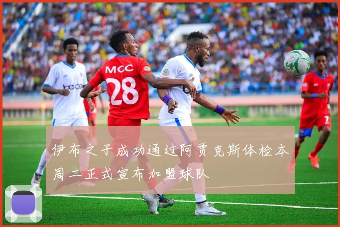 伊布之子成功通过阿贾克斯体检本周二正式宣布加盟球队